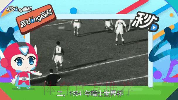 世界杯比分平台实时动态全方位深度解读
